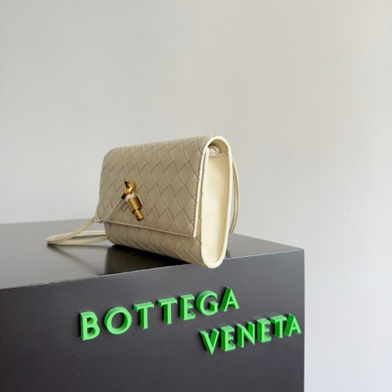 Bottega Veneta Andiamo Pouch