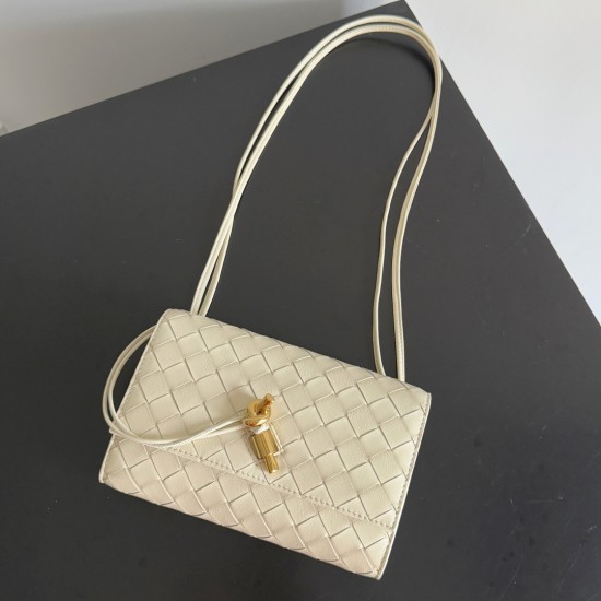 Bottega Veneta Andiamo Pouch