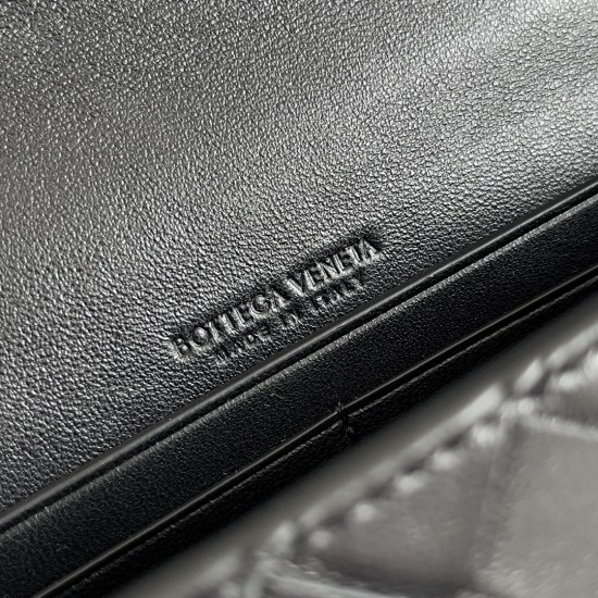 Bottega Veneta Andiamo Clutch