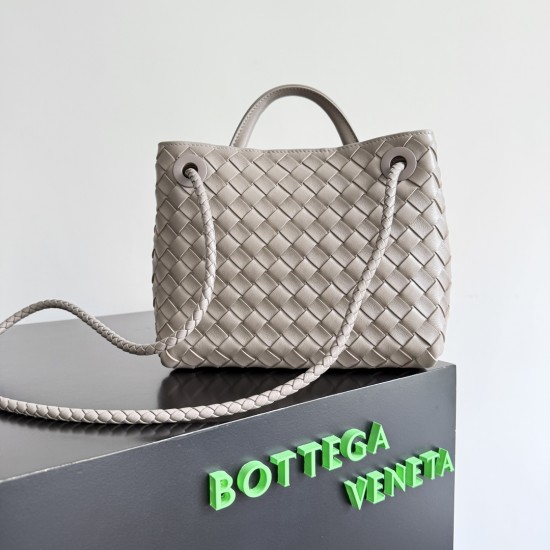 Bottega Veneta Small Andiamo