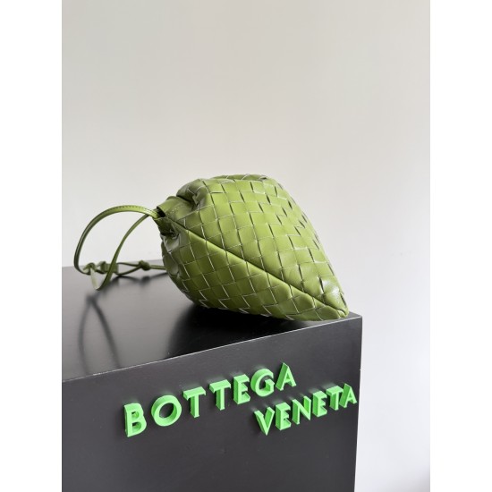 Bottega Veneta Dustbag