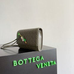 BottegaVeneta Andiamo Daisy Pouch