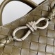 Bottega Veneta Small Andiamo