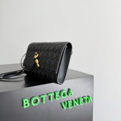 Bottega Veneta Andiamo Pouch Bottega Veneta Andiamo Pouch