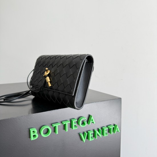 Bottega Veneta Andiamo Pouch