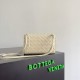 Bottega Veneta Andiamo Pouch