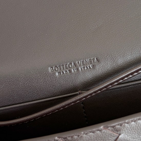 BottegaVeneta Andiamo Daisy Pouch