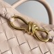 Bottega Veneta Small Andiamo