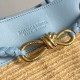 Bottega Veneta Small Andiamo
