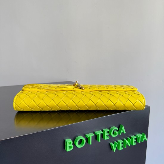 Bottega Veneta Andiamo Clutch