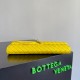 Bottega Veneta Andiamo Clutch