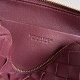 Bottega Veneta Concert Pouch