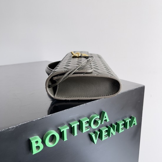 Bottega Veneta Andiamo Clutch