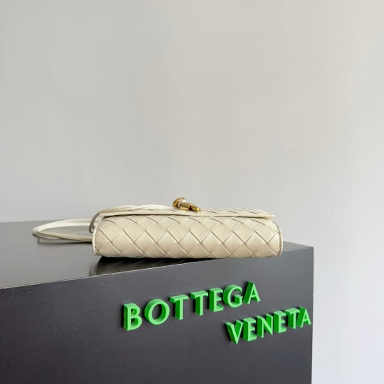Bottega Veneta Andiamo Pouch