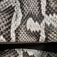 Bottega Veneta Liberta