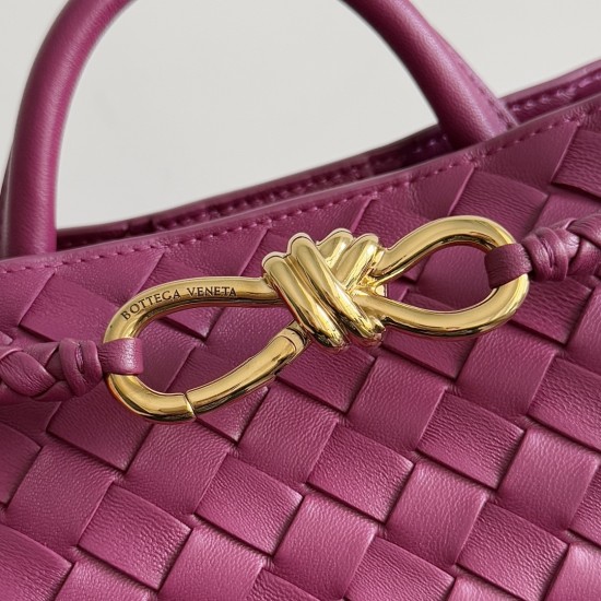Bottega Veneta Small Andiamo