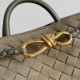 Bottega Veneta Small Andiamo