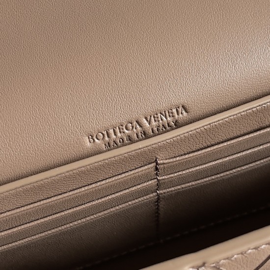 Bottega Veneta Andiamo Clutch