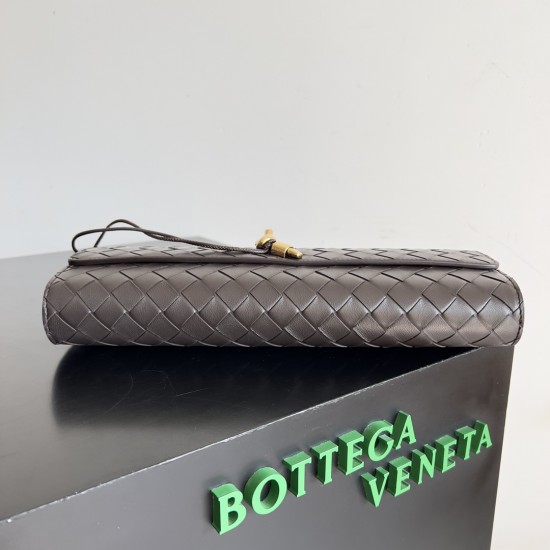 Bottega Veneta Andiamo Clutch