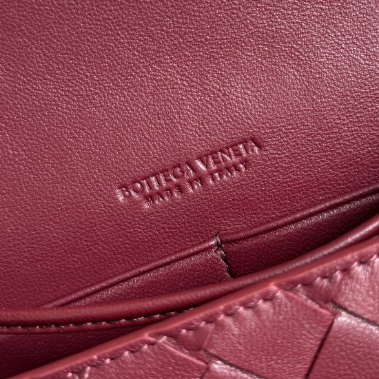 BottegaVeneta Andiamo Daisy Pouch