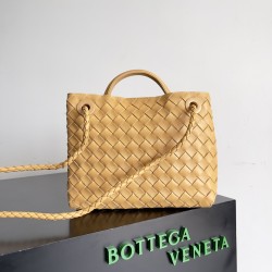 Bottega Veneta Small Andiamo
