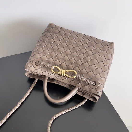 Bottega Veneta Small Andiamo