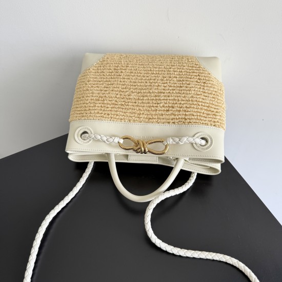 Bottega Veneta Small Andiamo