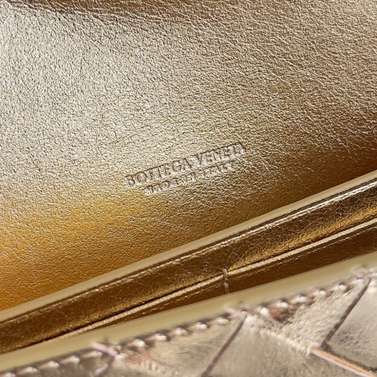 Bottega Veneta Andiamo Clutch