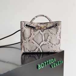 Bottega Veneta Small Andiamo