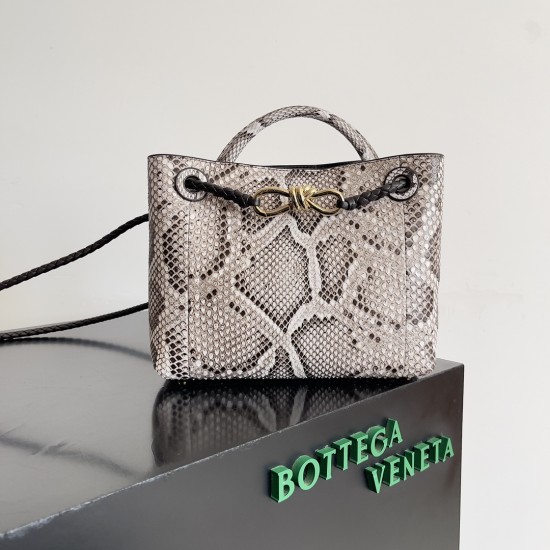 Bottega Veneta Small Andiamo