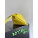 Bottega Veneta Dustbag