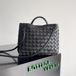 Bottega Veneta Small Andiamo