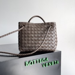 Bottega Veneta Small Andiamo