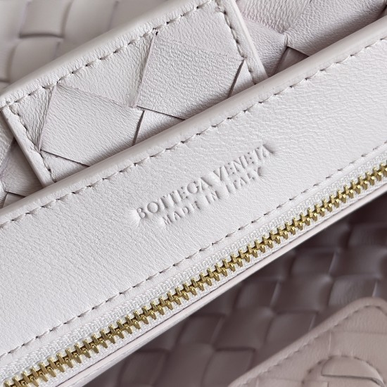 Bottega Veneta Small Andiamo