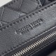Bottega Veneta Small Andiamo
