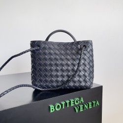 Bottega Veneta Small Andiamo
