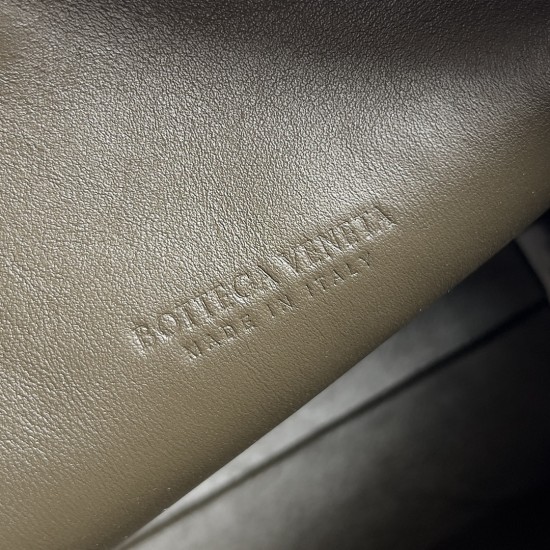 Bottega Veneta Loop Camera Bag