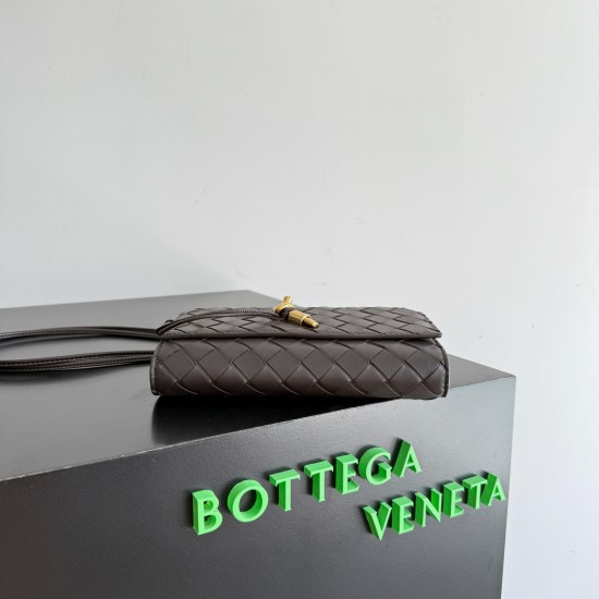 Bottega Veneta Andiamo Pouch