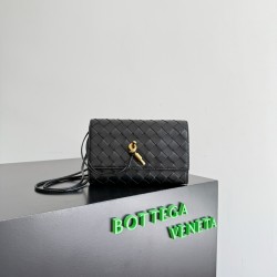 Bottega Veneta Andiamo Pouch Bottega Veneta Andiamo Pouch