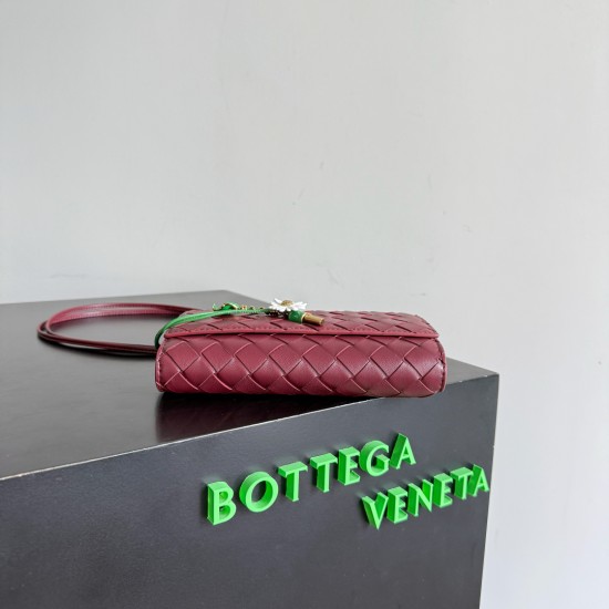 BottegaVeneta Andiamo Daisy Pouch