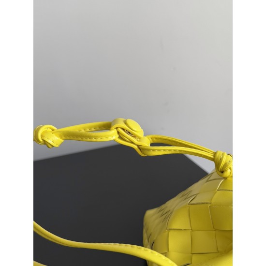 Bottega Veneta Dustbag