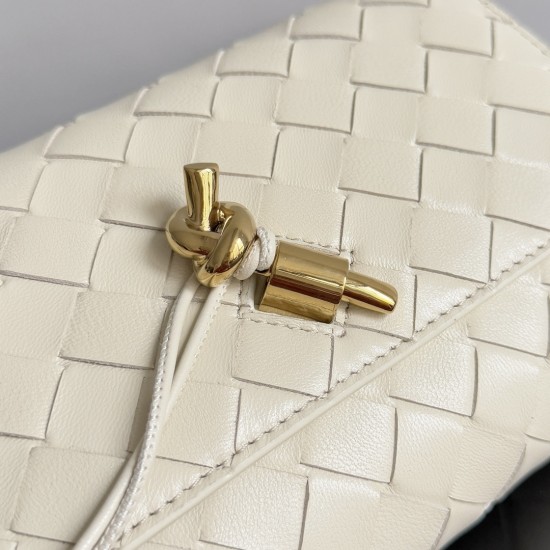 Bottega Veneta Andiamo Pouch