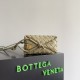 Bottega Veneta Loop Camera Bag