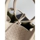Bottega Veneta Small Pinacoteca
