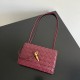 Bottega Veneta Andiamo Pouch
