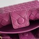Bottega Veneta Small Andiamo