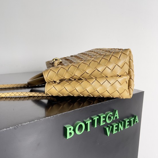 Bottega Veneta Small Andiamo