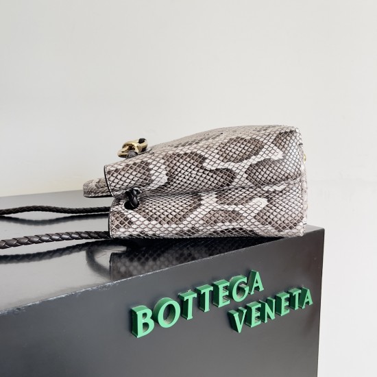 Bottega Veneta Small Andiamo