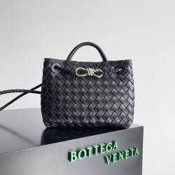 Bottega Veneta Small Andiamo