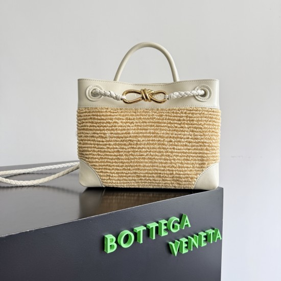 Bottega Veneta Small Andiamo